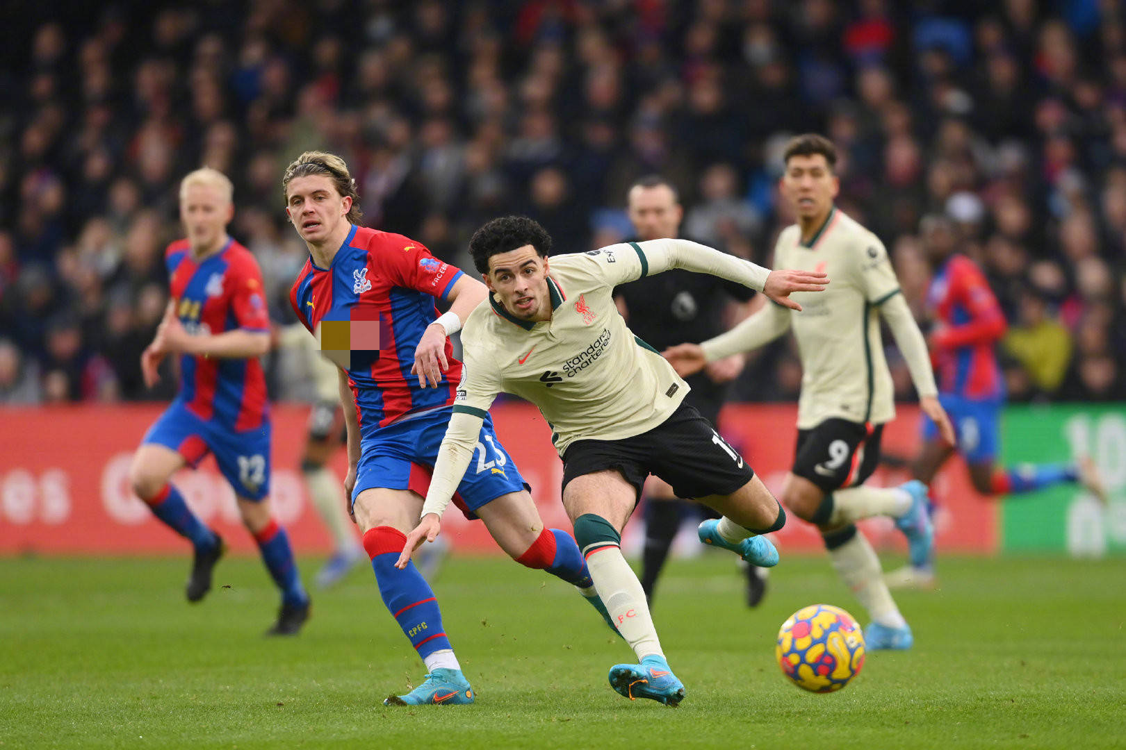 多冠军头衔 多冠军头衔